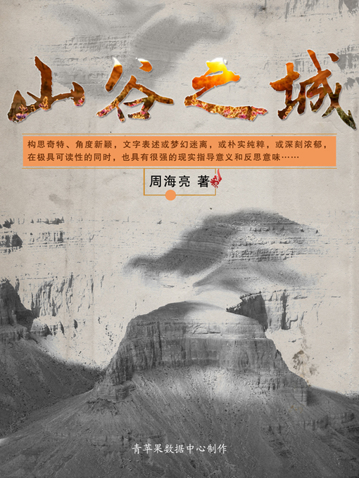 Cover image for 山谷之城